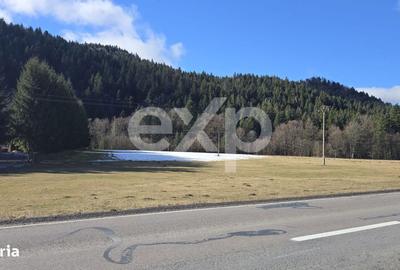 Spațiu comercial, în Brădet - 7