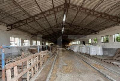 Ferma de Vanzare in judetul Timis, la nord est de Timisoara, - 11