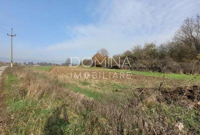 Vanzare teren intravilan - 1654 mp - strada Amurgului - Ursa?i - 5