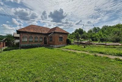 VAND CASA IN CAPU Piscului Godeni judetul Arges - 7