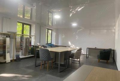 Spațiu comercial, de 58 mp, în Timpuri Noi - 2
