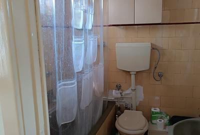 Apartament cu 3 camere semidecomandat, mobilat în Dacia - 8