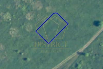 Teren intravilan | Dumbravita | Zona Lac - 1