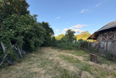 Casă cu 4 camere cu Teren 1051 Mp în Târgu Logrești - 4