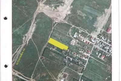 Voluntari, str. Matei Millo, 7600 mp, S+P+8E