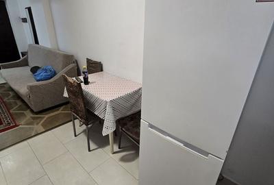 Apartament cu 2 camere decomandat în Făget - 10