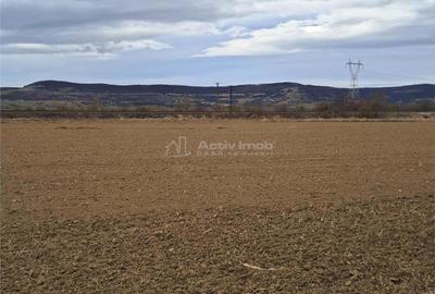 Teren 5000 mp langa E68 - 2