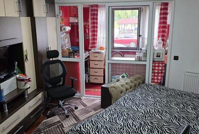 Garsoniera, situata pe malul Somesului, cartierul Grigorescu - 1