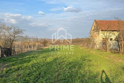 Teren de 1906 mp, în Berghin