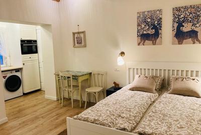 Apartament cu 2 camere semidecomandat, mobilat în Horea - 1