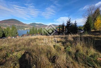 Teren de vanzare 12 ari - COLIBITA - 5