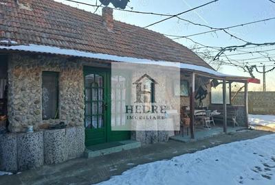 Casă cu 4 camere cu Teren 3404 Mp în Răchita - 4