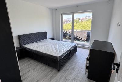 Apartament cu 2 camere semidecomandat în Vișan - 4