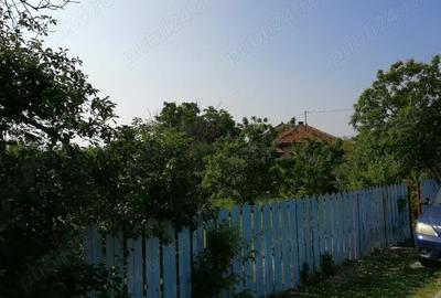 Casă cu 4 camere în Moara Vlăsiei - 7