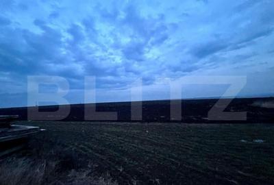 Oportunitate investi?ie, teren 5000 mp, toate utilita?ile - 2