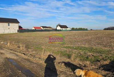 Cornetu  Strada Stejarului - 4