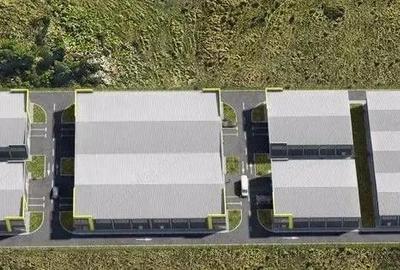 Zona Drumul intre Tarlale - hale noi -600mp, 1200mp, 2400mp - 7
