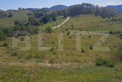 Teren de 4604 mp, în Ponor - 3