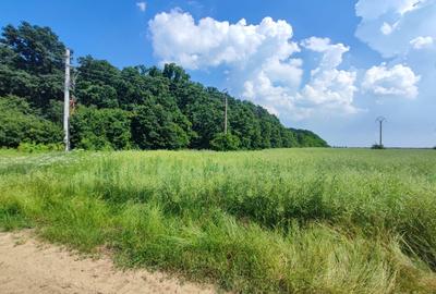 Corbeanca-teren-PUZ-proiect-avans cu rest de plata in 5 ani - 12