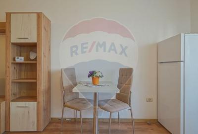 Garsoniera de inchiriat, Subcetate-Sanpetru - 6