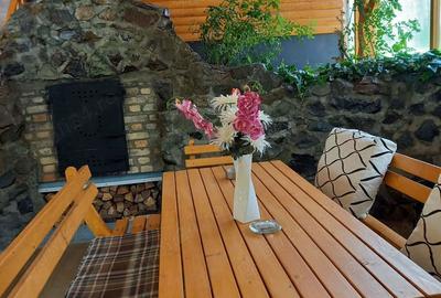 Vind 2 case Carei Satu-Mare,singur in curte - 8