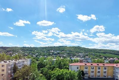 Apartament in parcul voievozilor!  Ideal pentru o familie - 10