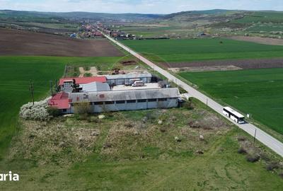 Teren de 8600 mp, în Iclod - 20