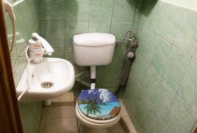 Apartament cu 3 camere decomandat în Central - 4