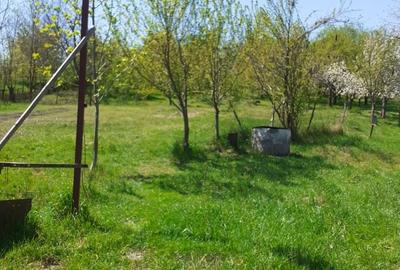 Casă cu 3 camere în Miceștii de Câmpie - 1