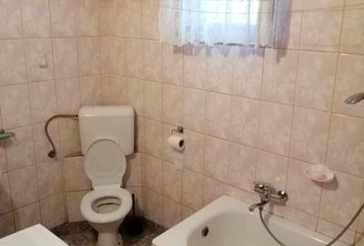 Casa de inchiriat, Prundu Mic -Pitesti, mobilata si utilata, curte, centrala etc - 6