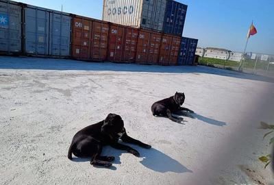 Spațiu comercial, de 2,400 mp, în Central - 1