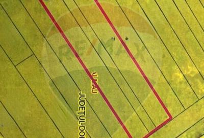 Teren de 4787 mp, în Almăj - 1