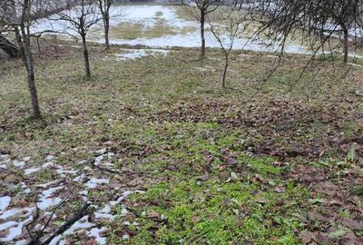 Teren de 3350 mp, în Sâmbotin - 2