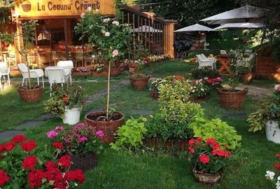 Spatiu comercial de vanzare pentru restaurant | Parcul Herastrau - 6