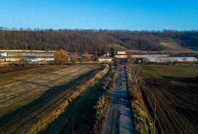 Spațiu comercial, de 50,000 mp, în Horgești - 15