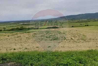 Teren extravilan de vanzare in Manau -Maramures! - 1