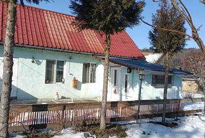 Casă cu 2 camere în Țichindeal - 9