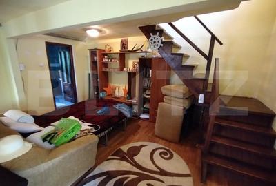 Cabana 3 cam,2 nivele 100 mp+teren extravilan 2,5 ha+1 ha padure,zona Nasaudului - 5