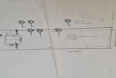 Casa de Vanzare Zarne?ti - 4