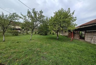Vand casa in Zlasti cu 6 camere, Hunedoara - 2
