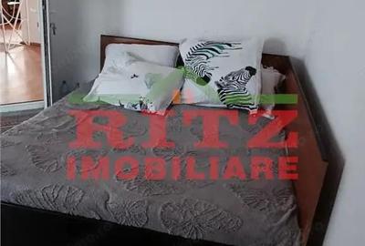 CASA SI SPATIU COM.DANEASA-PESTRA - 15