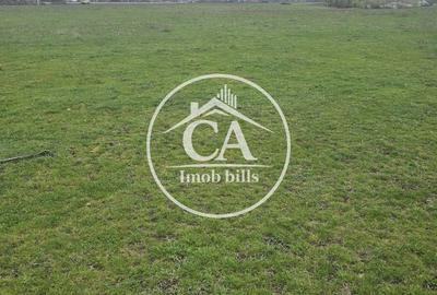 Spațiu comercial, în Paleu - 2