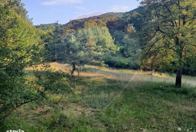 Spațiu comercial, în Coaș