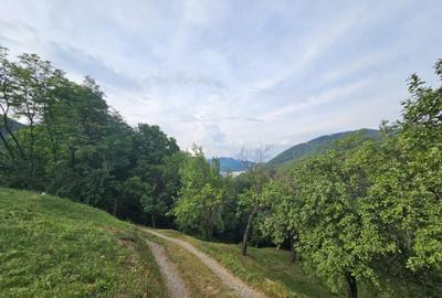 TEREN DE VANZARE SECIURI - 5