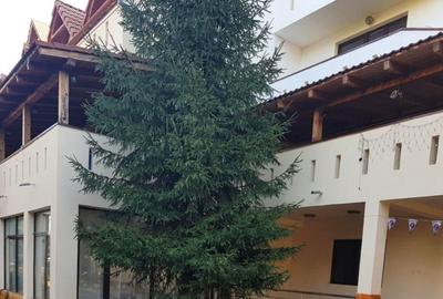 Hotel cu arhitectură montană deosebită poziționare premium Sâmbătă de Sus - 16