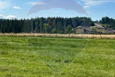 Teren Construcții intravilan de 30930 mp, în Poiana Stampei - 11