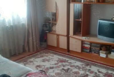 Proprieta,vind vila in Lunca Cetatuii - 2