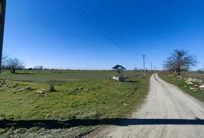 Teren de 7016 mp, în Tortoman - 4