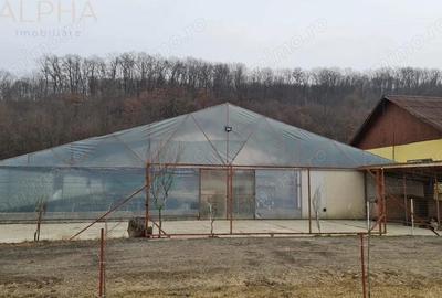 Spațiu comercial, de 1,300 mp, în Blăjenii de Jos - 9