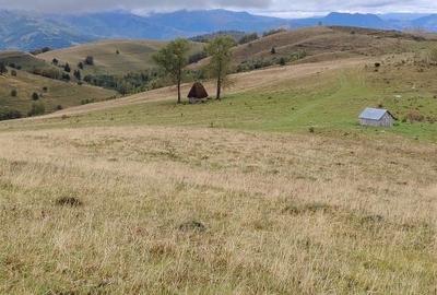 Teren de vânzare an com Ponor - 2